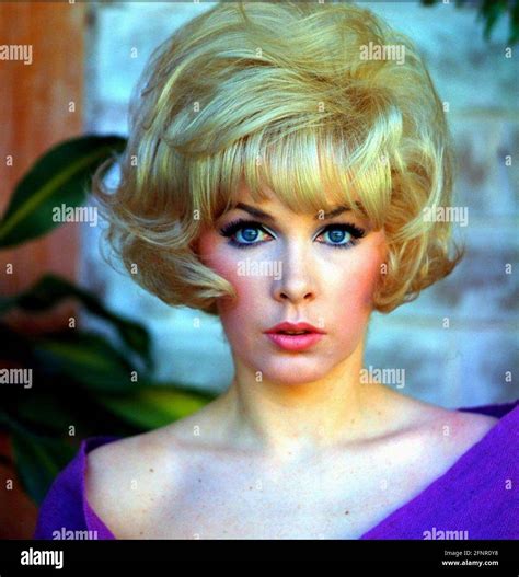 stella stevens hot|482 Actress Stella Stevens Stock Photos and High